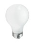 Incandescent A19 Light Bulb
